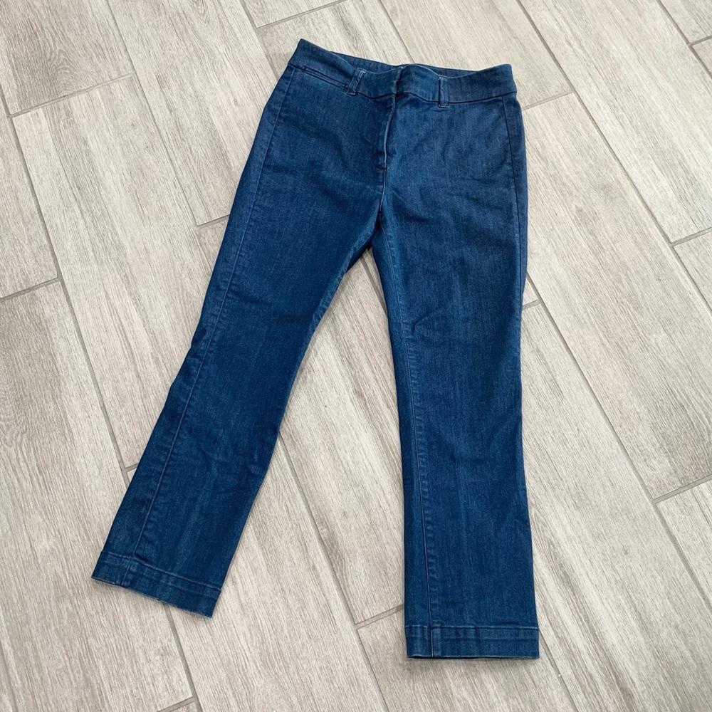 Ann Taylor Loft Marisa denim pants